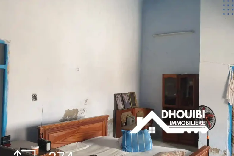 Immobilier Tunisie Terrain à Vendre Kairouan 2