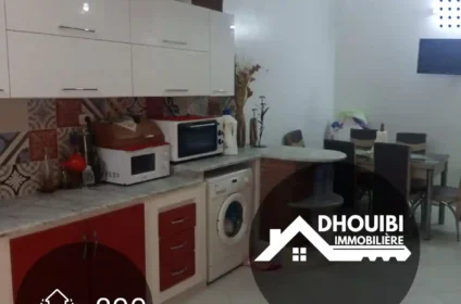 immobilier-tunisie-agence-immobiliere-kairouan
