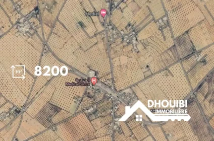 samsar-kairouan-dhouibi