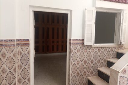 dhouibi immobilier tunisie