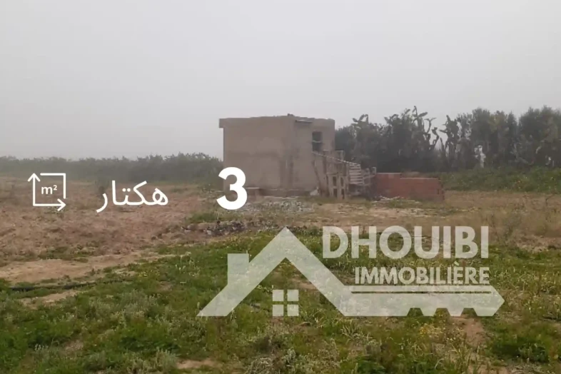 Immobilier Tunisie Forsa Immo Kairouan 2
