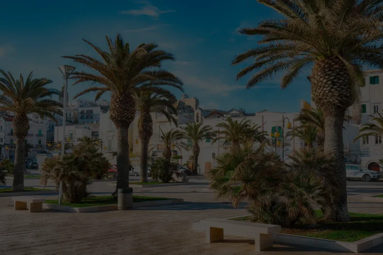 Immobilier Tunisie Samsar Kairouan 5