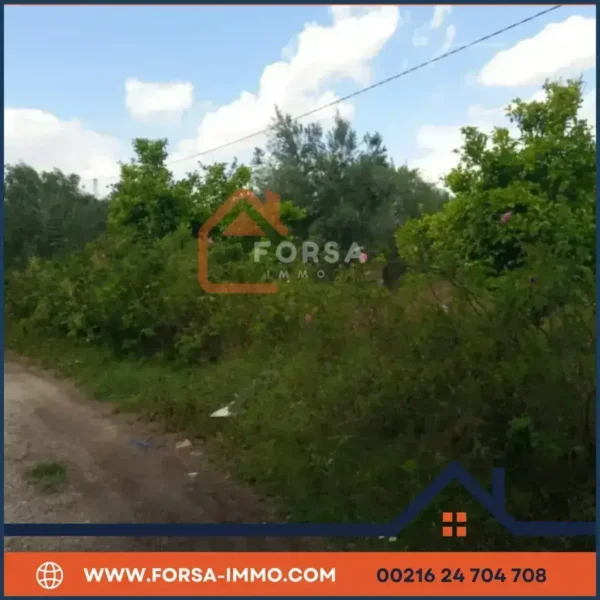 Ferme 6 hectar a vendre a kairouan - 2