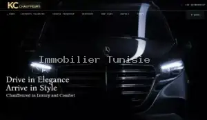 Immobilier Tunisie Agent Immobilier Kairouan 2