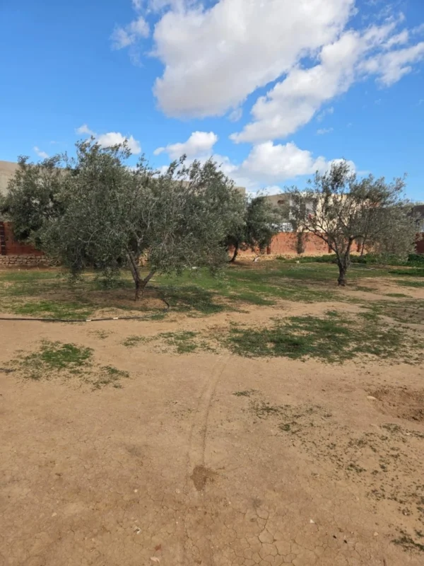 Sfax – hajeb : maison a vendre – 1343 metre - 1