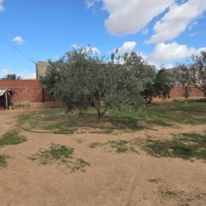 Sfax – hajeb : maison a vendre – 1343 metre