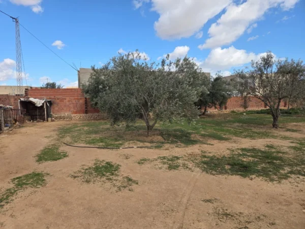 Sfax – hajeb : maison a vendre – 1343 metre