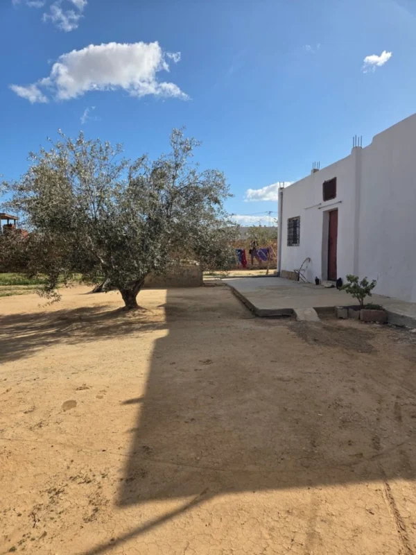 Sfax – hajeb : maison a vendre – 1343 metre - 2