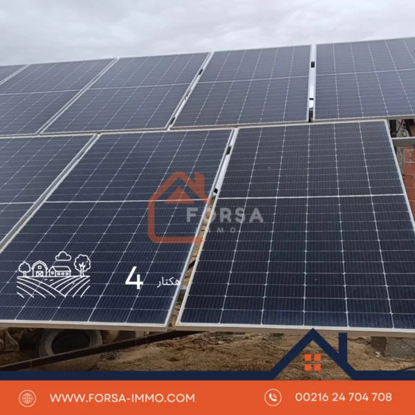 4 هكتار أرض فلاحية للبيع – المتبسطة - 1