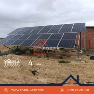 4 هكتار أرض فلاحية للبيع – المتبسطة