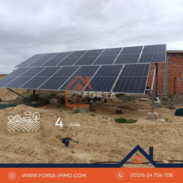 4 هكتار أرض فلاحية للبيع – المتبسطة