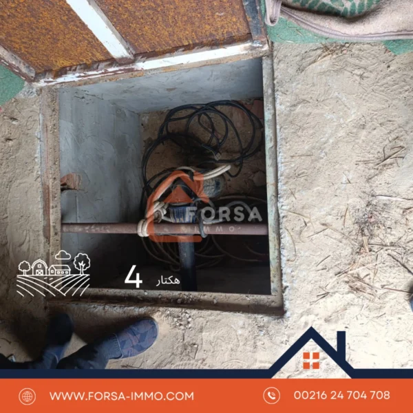 4 هكتار أرض فلاحية للبيع – المتبسطة - 2